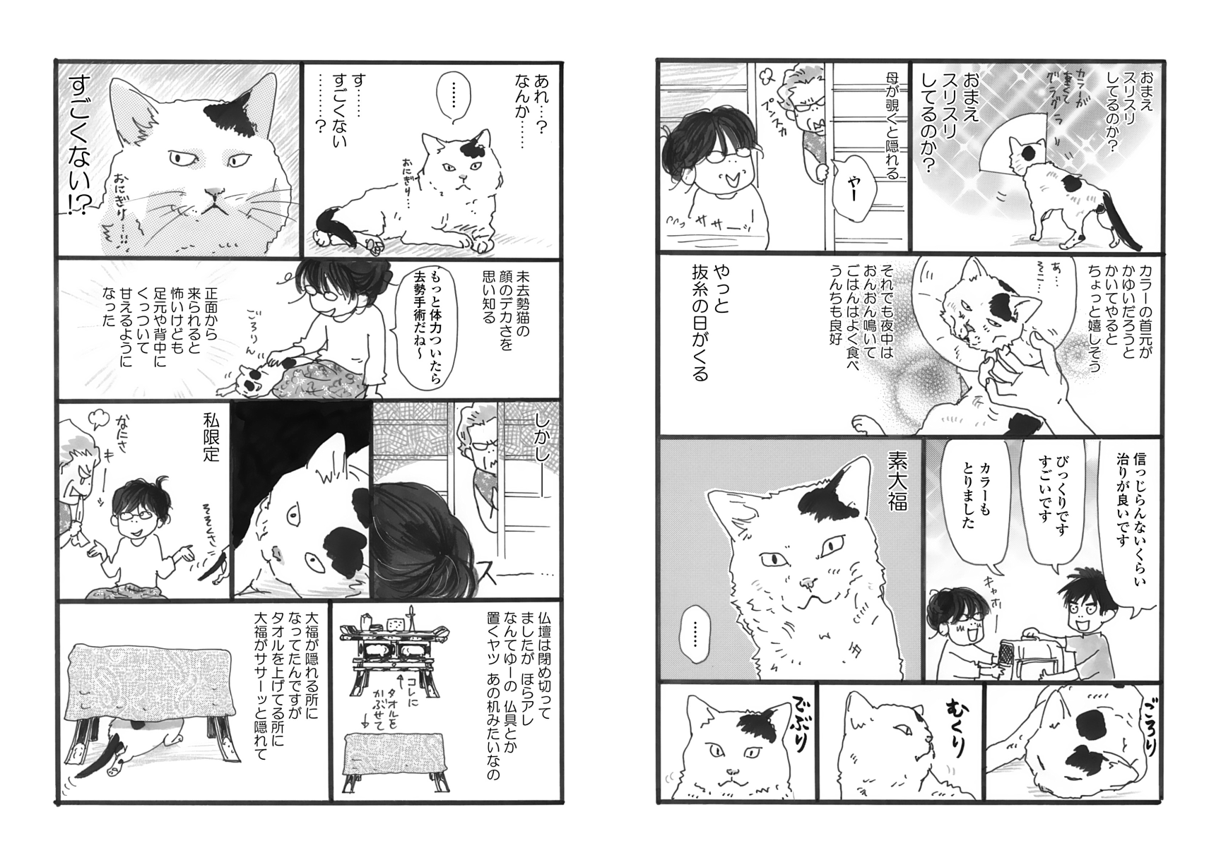 いくえみ綾